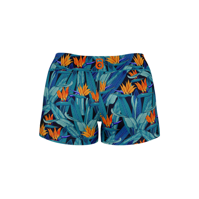 Birds of Paradise