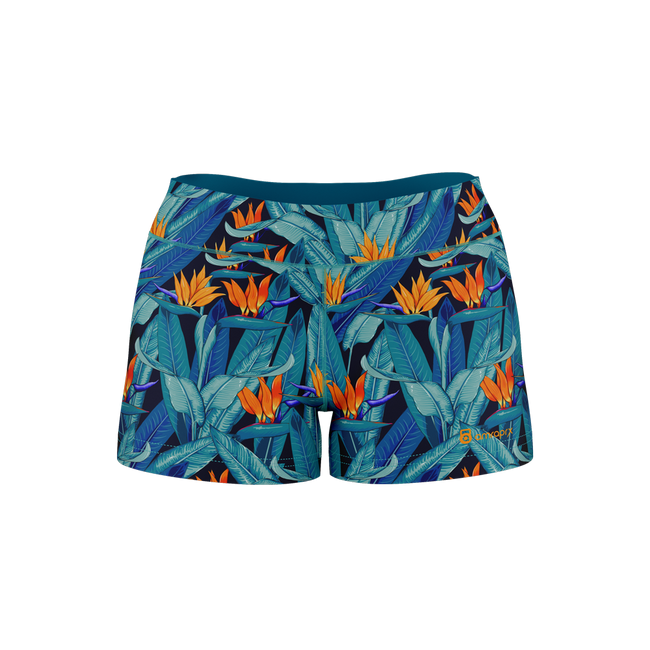 Birds of Paradise