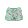 6 Pack Bundle - Spring 2023